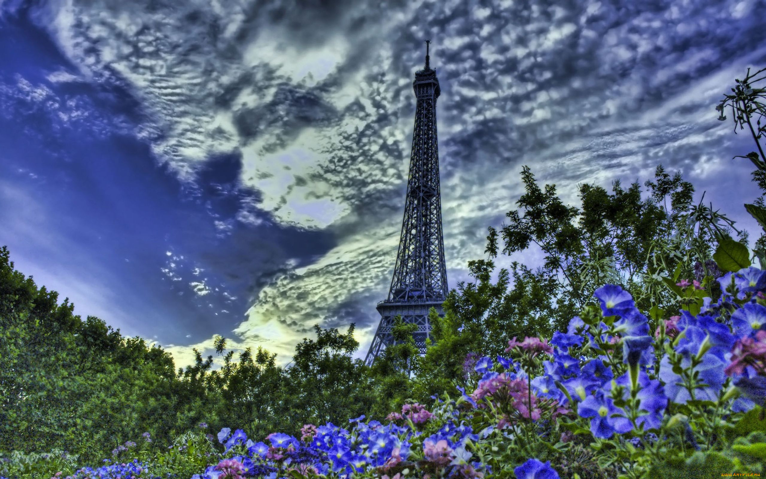 paris, france, , , , eiffel, tower, , 